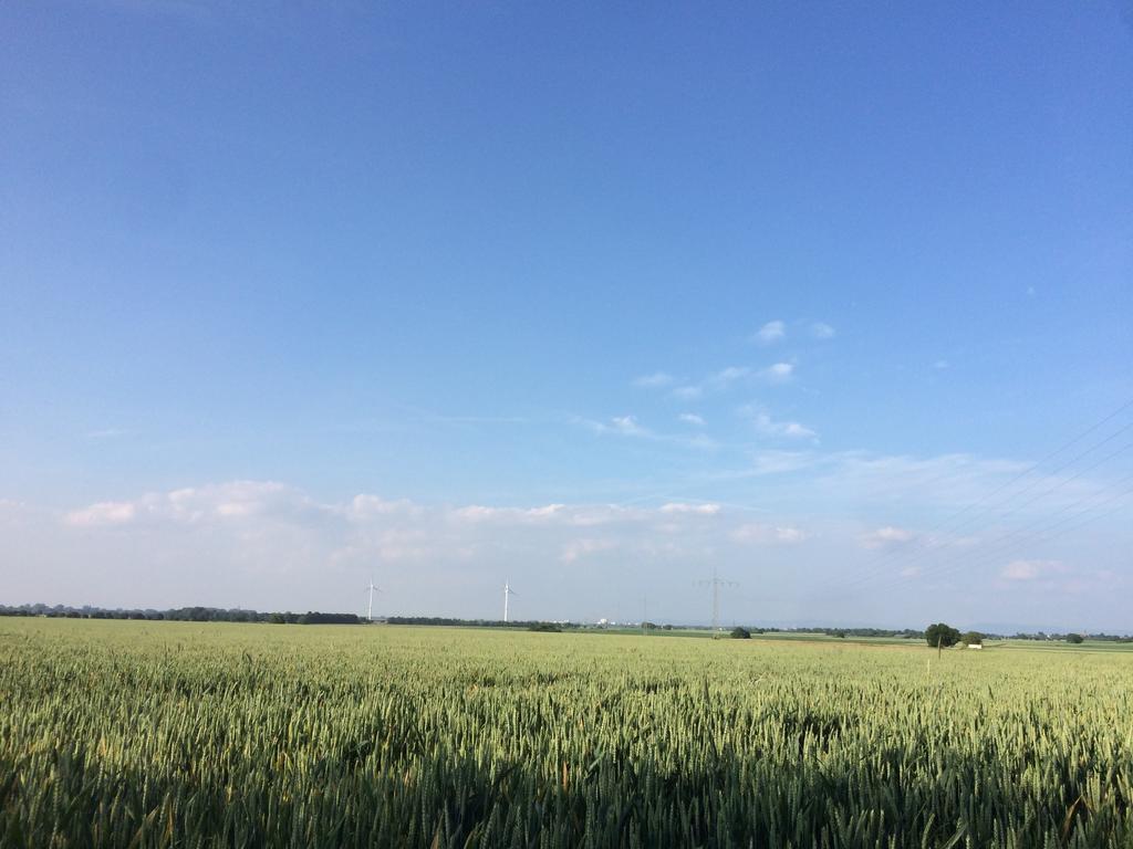 Apartament Alte Heimat Schwegenheim