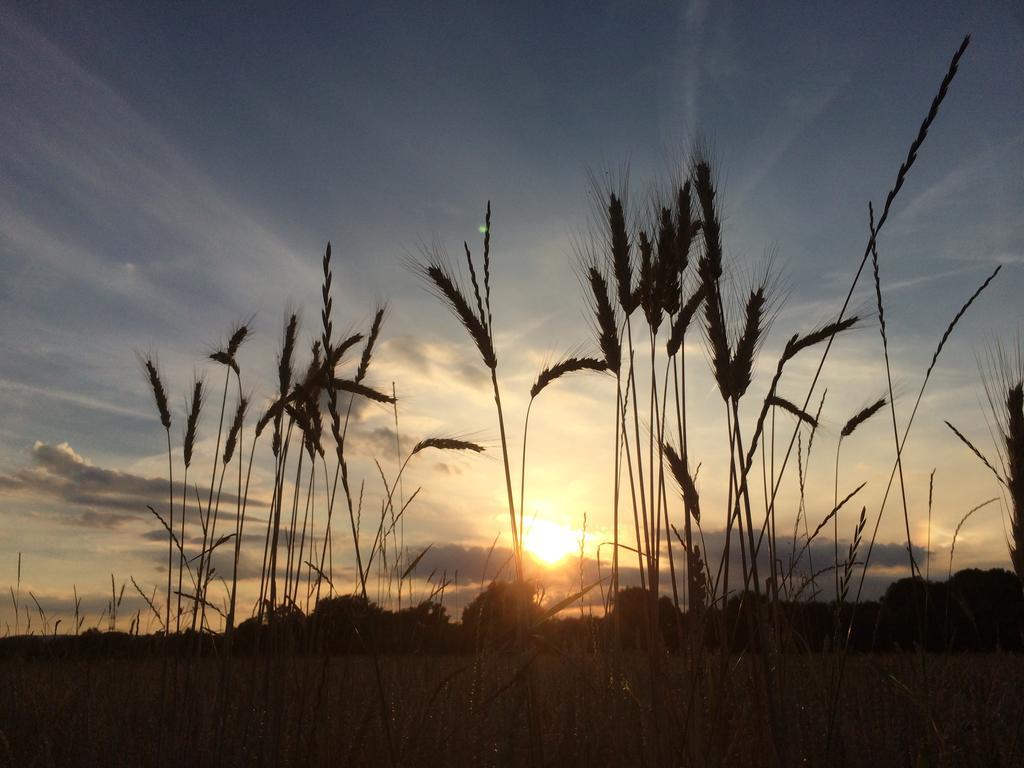 Alte Heimat