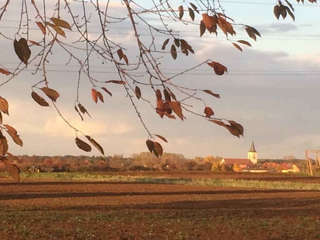 Alte Heimat Schwegenheim