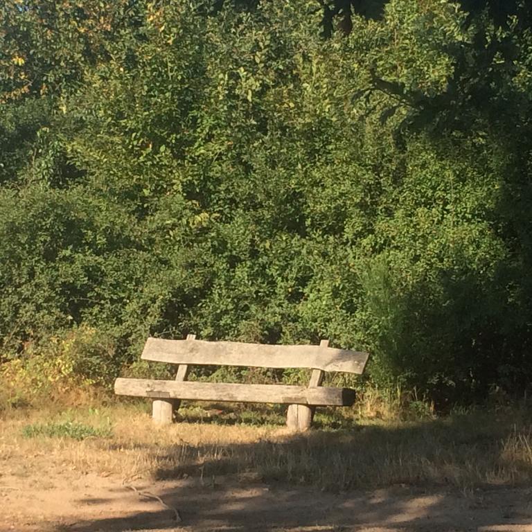 Alte Heimat