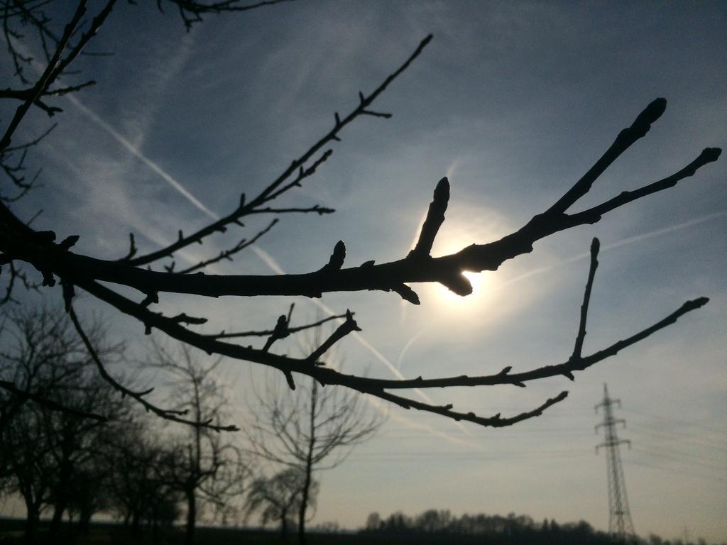 Alte Heimat Schwegenheim