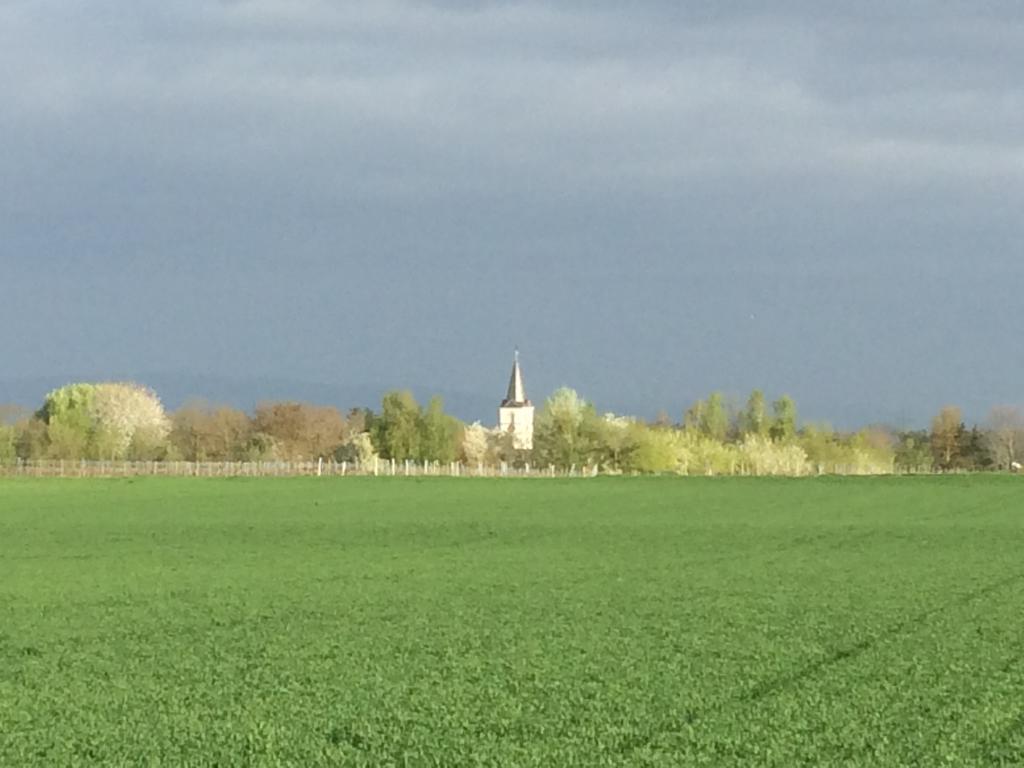Alte Heimat * Schwegenheim