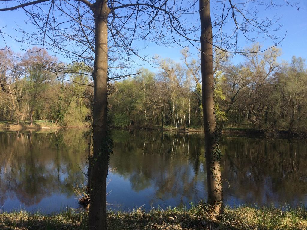 Alte Heimat Apartament Schwegenheim